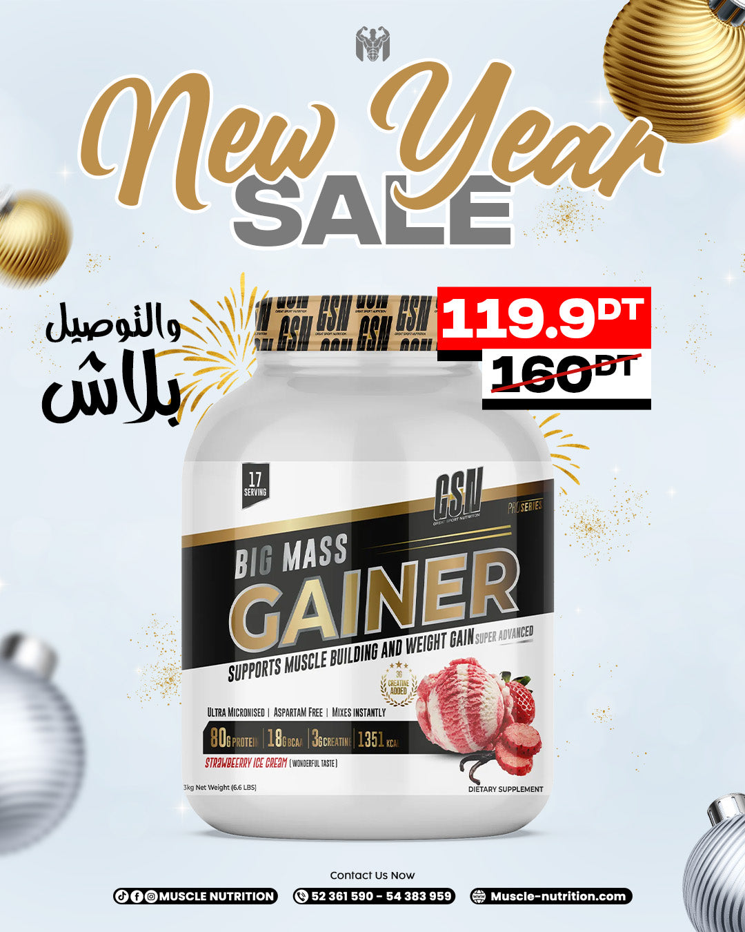 BIG MASS GAINER GSN 3KG