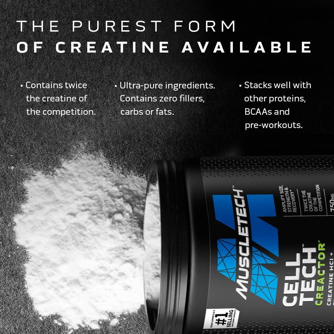 MuscleTech Cell-Tech Creactor Creatine 240g