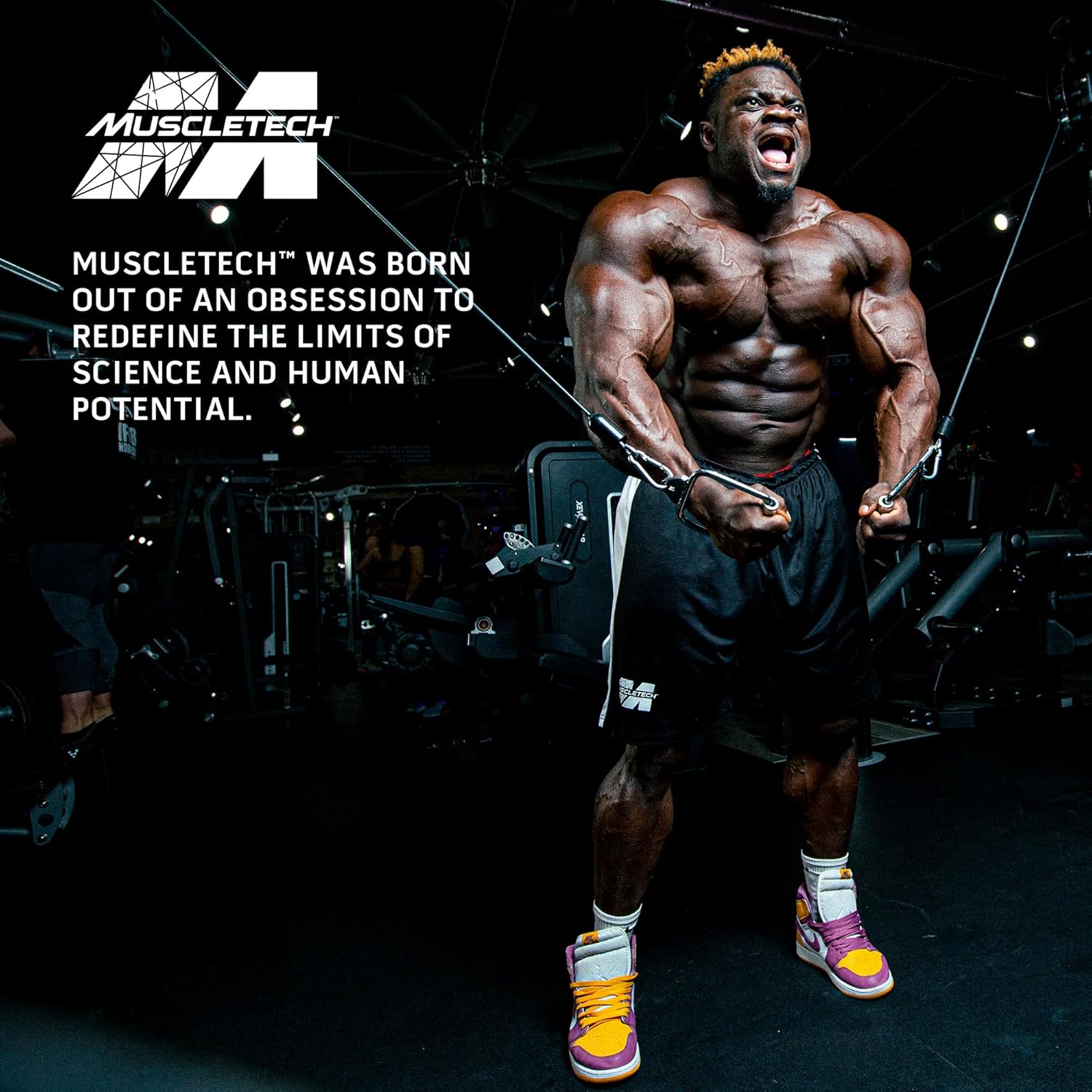 Mass-tech Muscletech