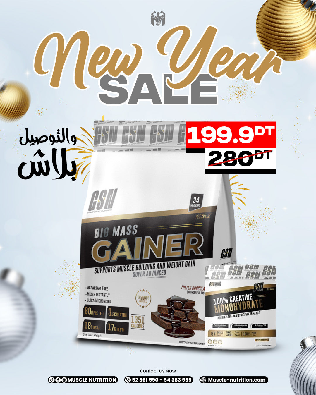 Big Mass Gainer 6kg + 200g Creatine - GSN