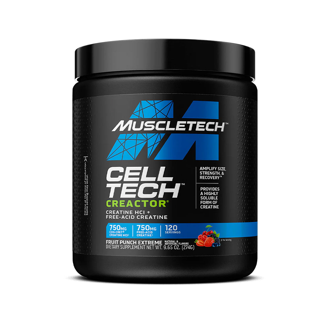 MuscleTech Cell-Tech Creactor Creatine 240g – Muscle Nutrition
