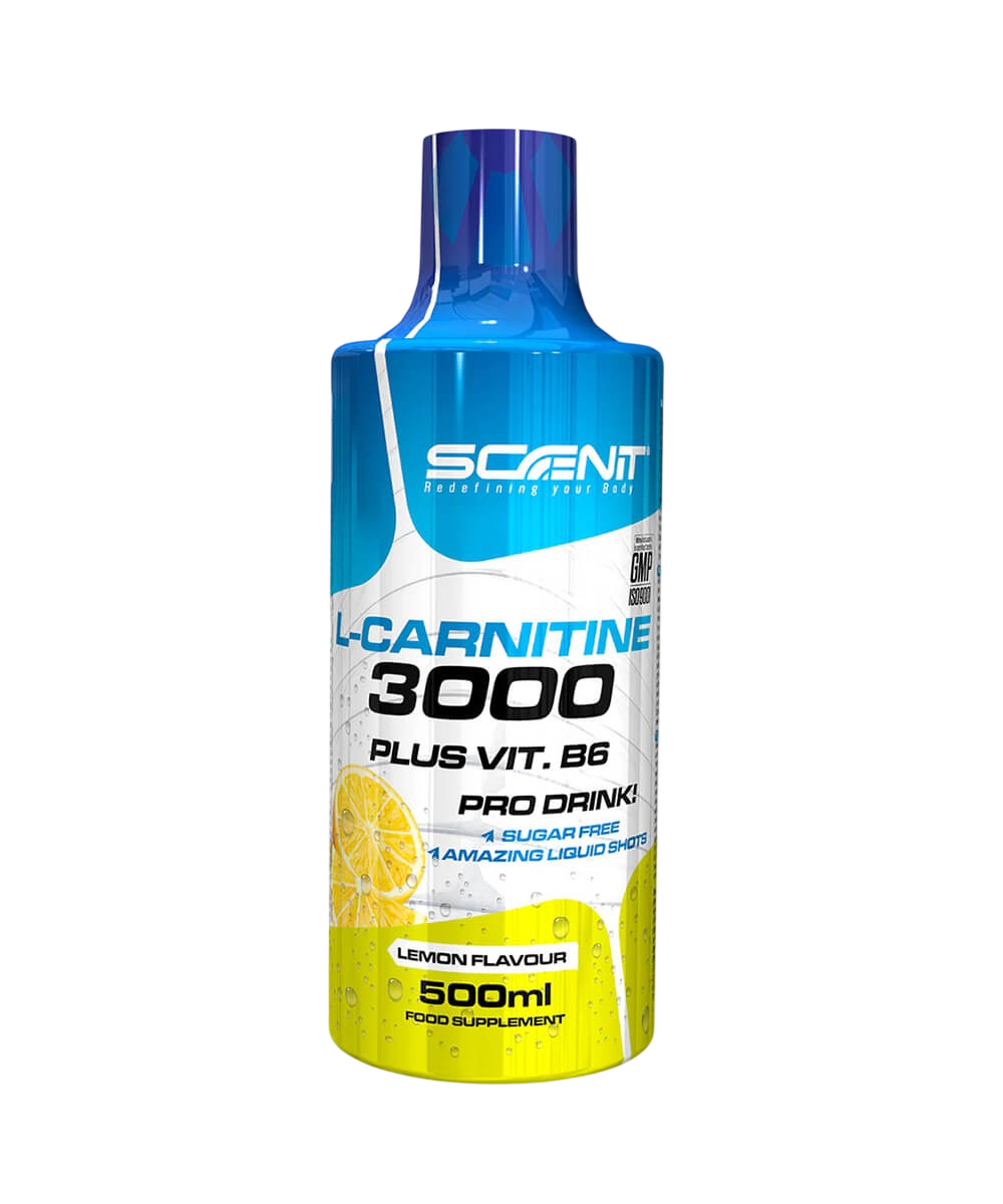 L-Carnitine 3000 + Vitamine B6 Scenit Nutrition 500 ml – Boisson Liquide